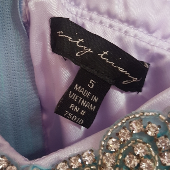 Prom/brides maid/princess/home coming dress - Picture 3 of 4